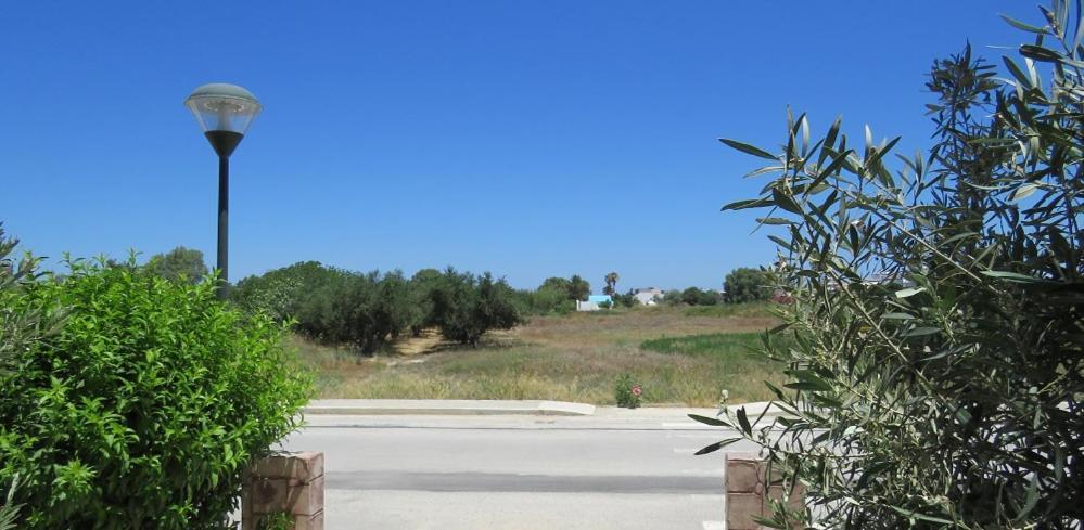 Elia Mare Apartment Masztihári Kültér fotó